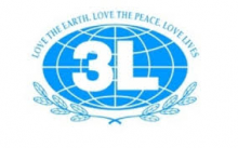 3L